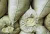 Everything You Need to Know About Supima® Cotton
